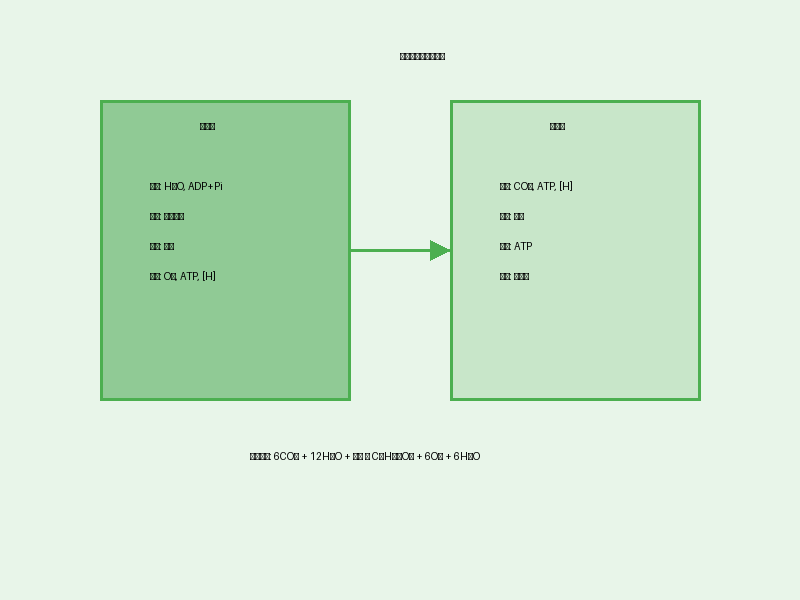 光合作用过程示意图